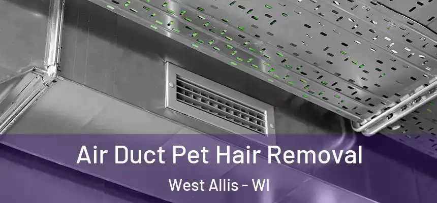  Air Duct Pet Hair Removal West Allis - WI