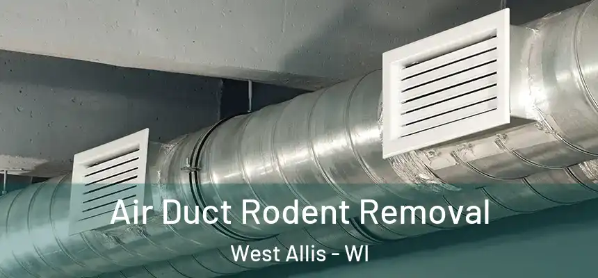 Air Duct Rodent Removal West Allis - WI