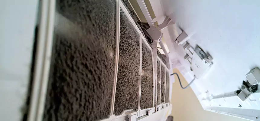 Preventive Air Duct Bacteria Removal in West Allis