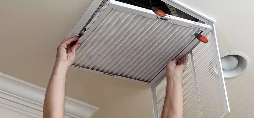 Preventive Cockroach-Proofing for Ducts in West Allis