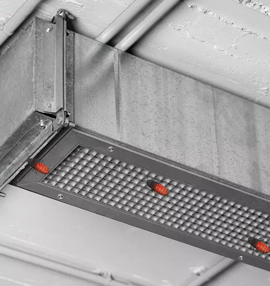 About Air Duct Cockroach Removal in West Allis, WI