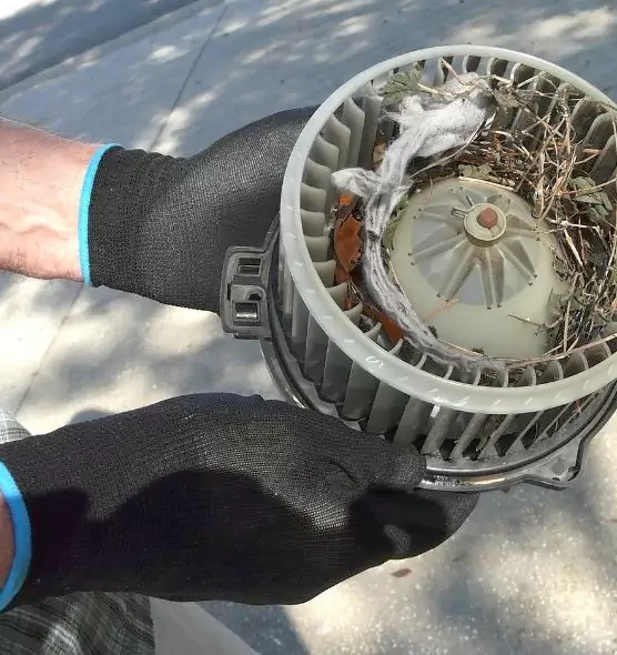 About Air Duct Mice Removal in West Allis, WI