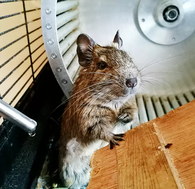 Why Homeowners & Businesses Trust Us West Allis, WI?